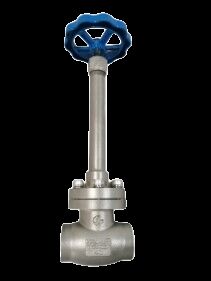 Stainless Steel 304/316 Cryogenic Globe Valve with 5.0Mpa Maximum Pressure and -196°C to +80°C Temperature Range