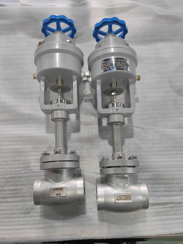 Stainless Steel 304/316 Cryogenic Globe Valve with Temperature Range -196 to +80°C and Maximum Pressure 5.0Mpa