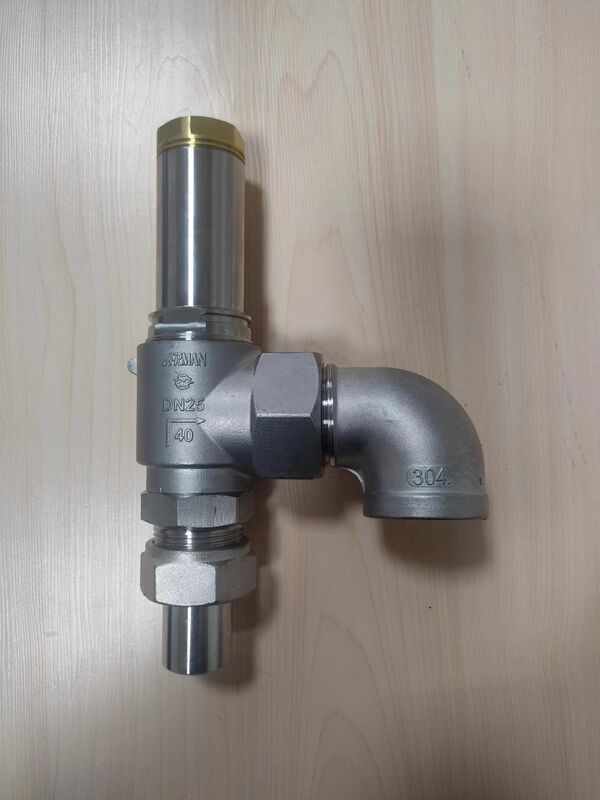 Stainless Steel Cryogenic Safety Valve for High Pressure 4.0Mpa and Extreme Temperatures -196°C to +120°C