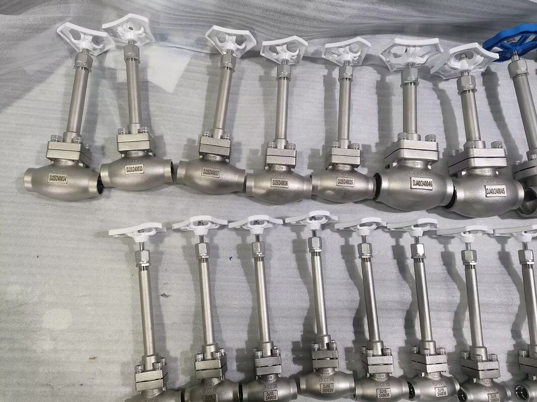 DN32 Cryogenic Globe Valve Stainless Steel 304/316 with 5.0Mpa Maximum Pressure and -196°C to +80°C Temperature Range