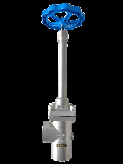 Stainless Steel 304/316 Cryogenic Globe Valve with Socket Welding Connection for -196°C to +80°C Applications