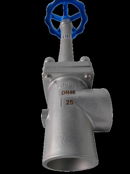 Stainless Steel 304/316 Cryogenic Globe Valve with Socket Welding Connection for -196°C to +80°C Applications