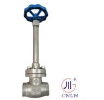 ISO CE EAC Certified Cryogenic Globe Valve with 5.0Mpa Maximum Pressure and -196°C to +80°C Temperature Range in Stainless Steel 304/316
