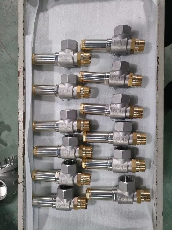 Stainless Steel 304/316 Cryogenic Globe Valve with 5.0Mpa Maximum Pressure and -196°C to +80°C Temperature Range