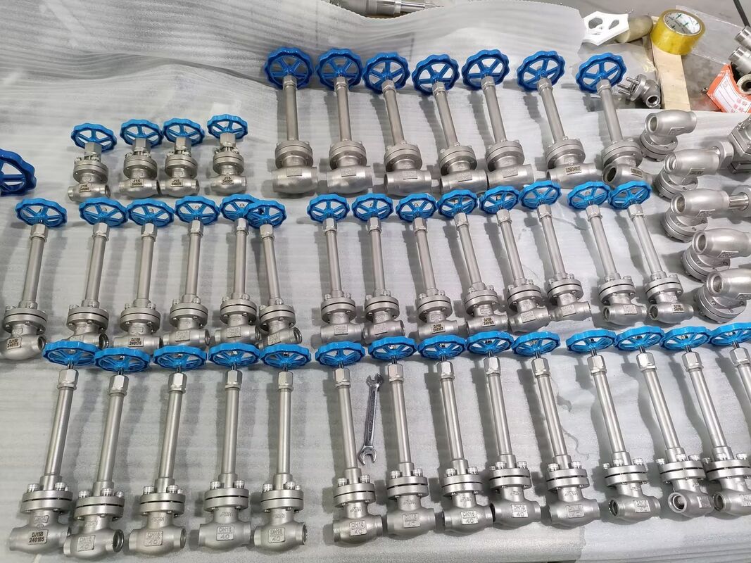 Stainless Steel 304/316 Cryogenic Globe Valve with 5.0Mpa Maximum Pressure and -196°C to +80°C Temperature Range