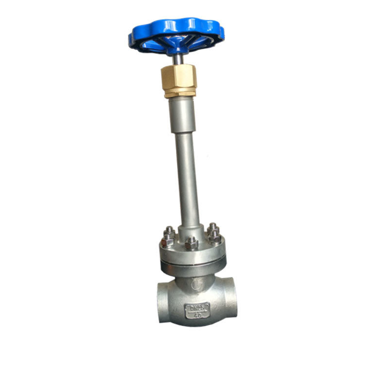 SS Stainless Steel Turky Cryogenic Globe Valve Customize Pressure CE / ISO9001 Approved
