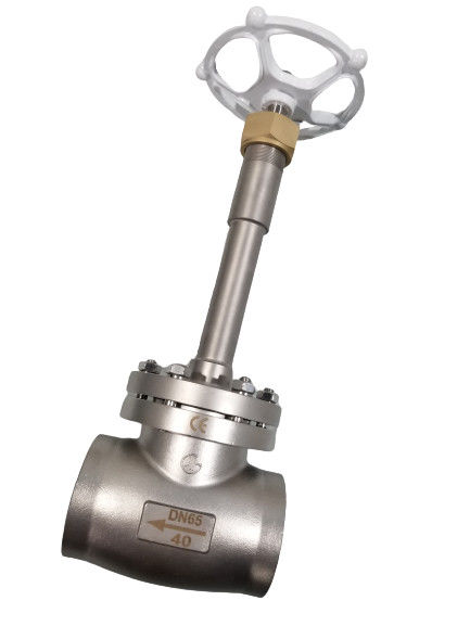 PN40 Stainless Steel SS Globe Valve 316 Gas Cryogenic