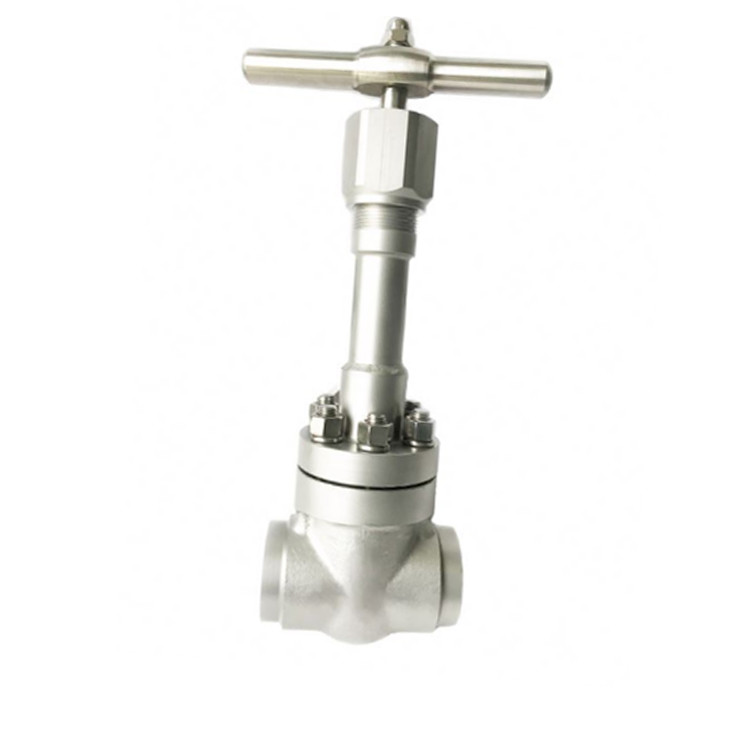 Handwheel Operated 316 304 Stainless Steel Cryogenic Globe Valve
